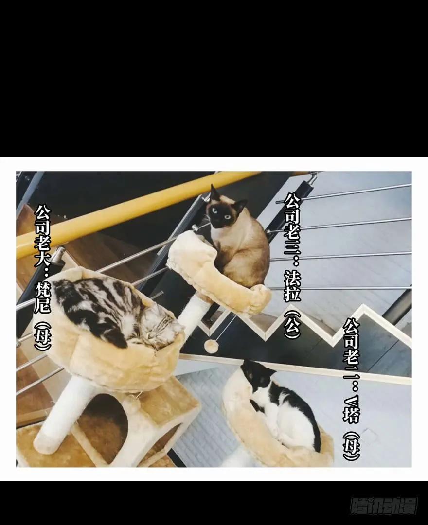 大象无形 第三十五章_考验上 第39页