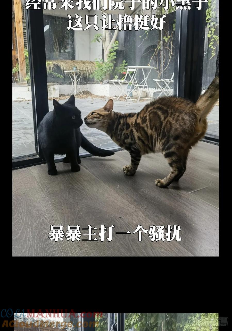 大象无形 第三百五十一章_上位上 第49页