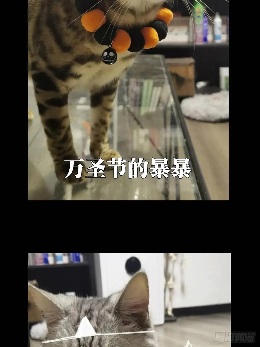 大象无形 第三百六十四章_出阳神中 第60页