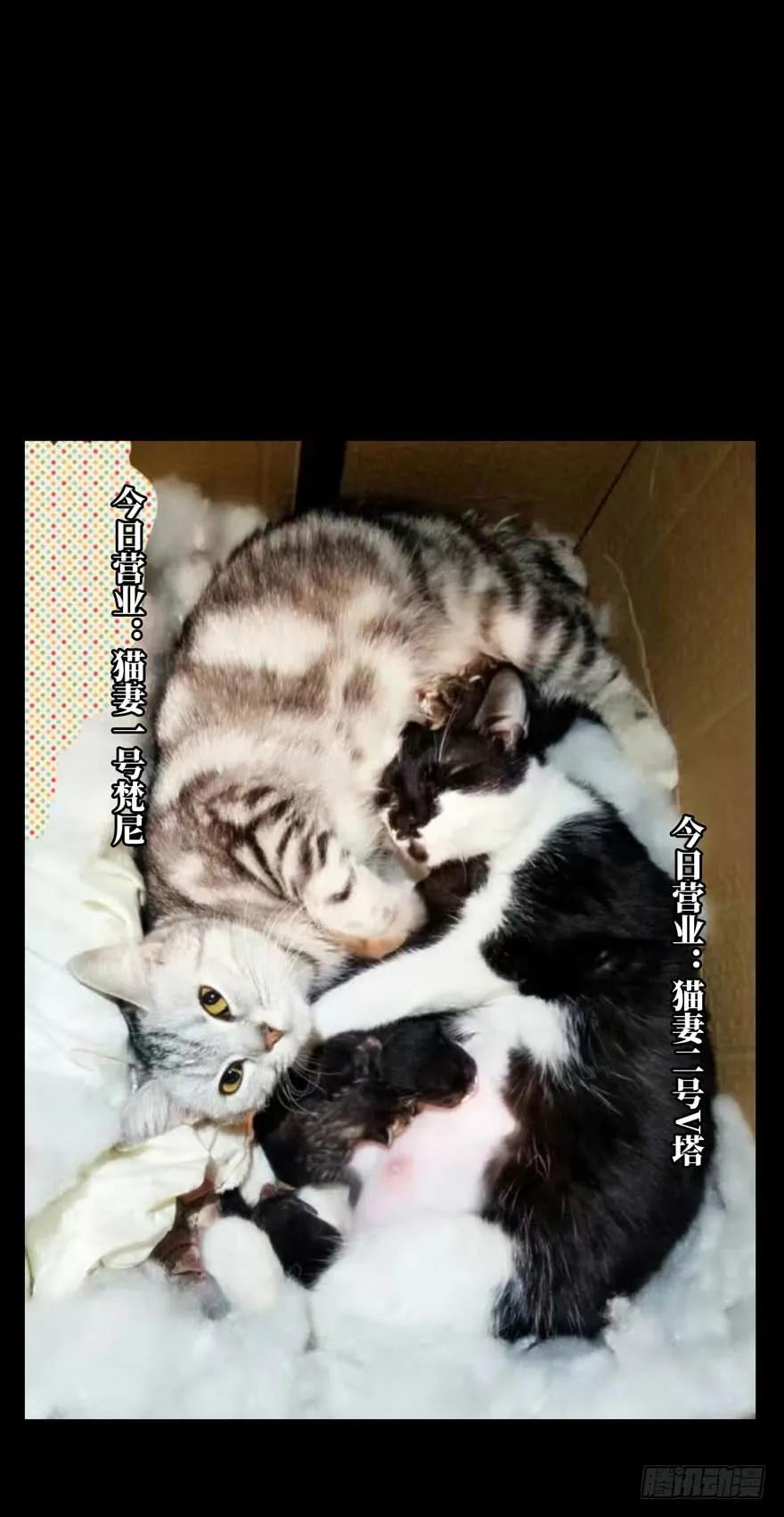 大象无形 第三十八章_洗砚古宅上 第36页