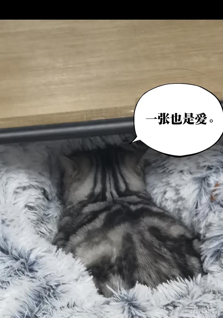 大象无形 第三百七十八章_六雷上 第57页