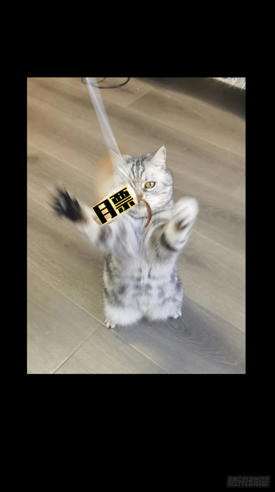 大象无形 第三百八十二章_追踪中 第48页