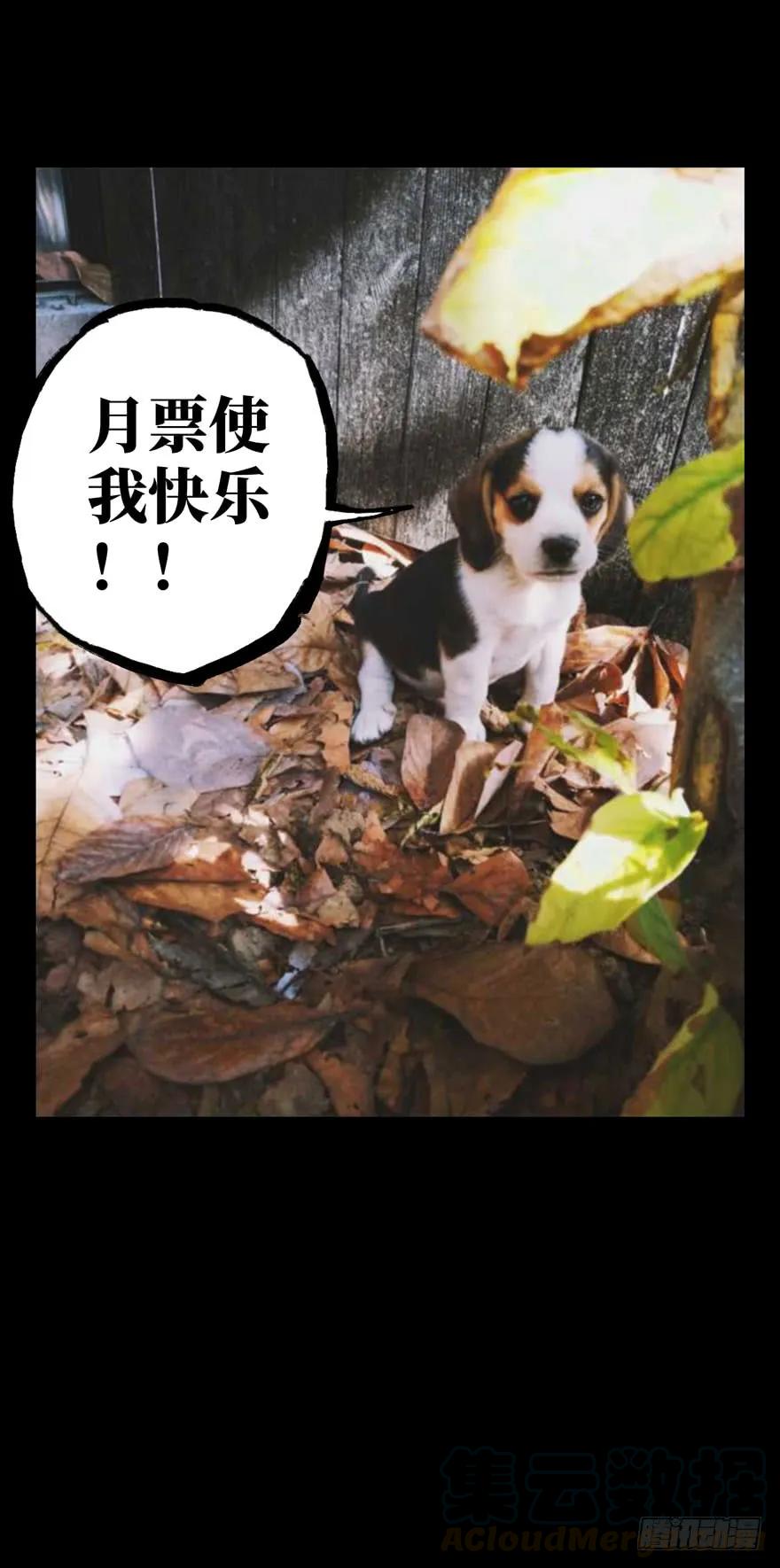 大象无形 第四十章_洗砚古宅下 第49页