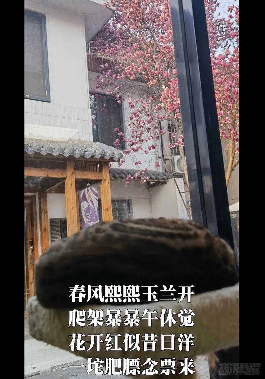 大象无形 第四百零三章_看戏中 第51页
