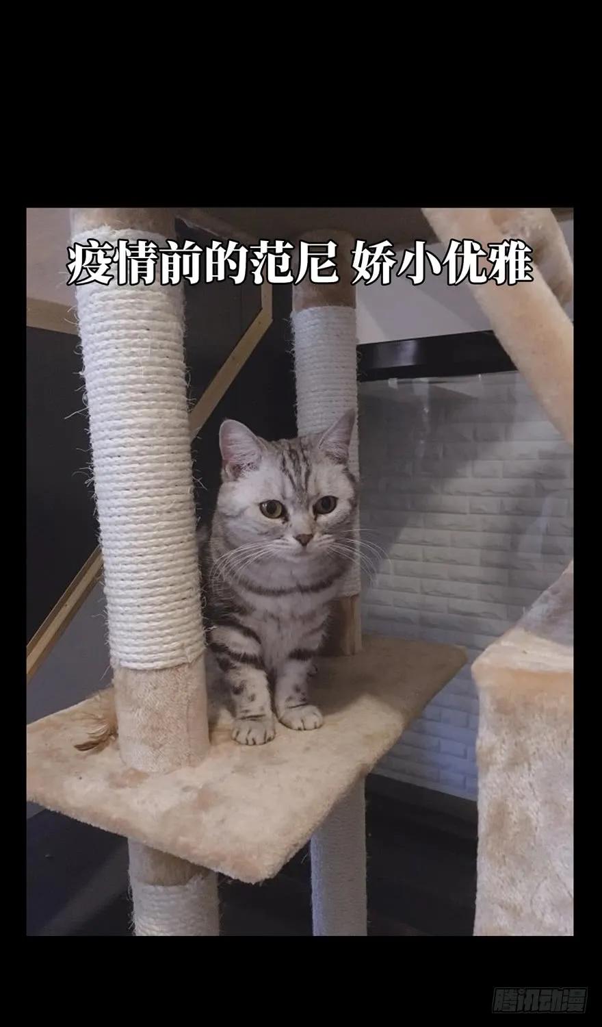 大象无形 第四十六章_悲剧下 第44页