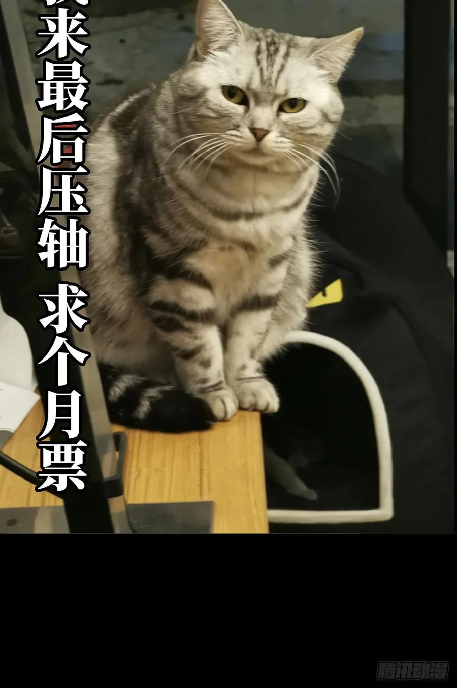 大象无形 第五十五章_方仙术士下 第46页
