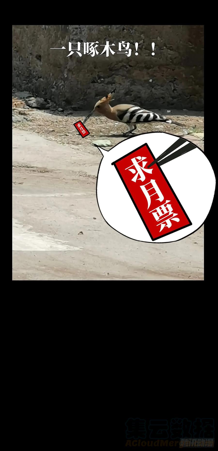大象无形 第六十二章_刀与盾上 第45页