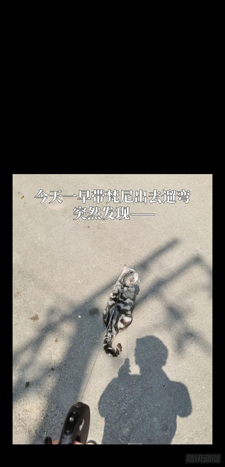 大象无形 第六十二章_刀与盾上 第44页