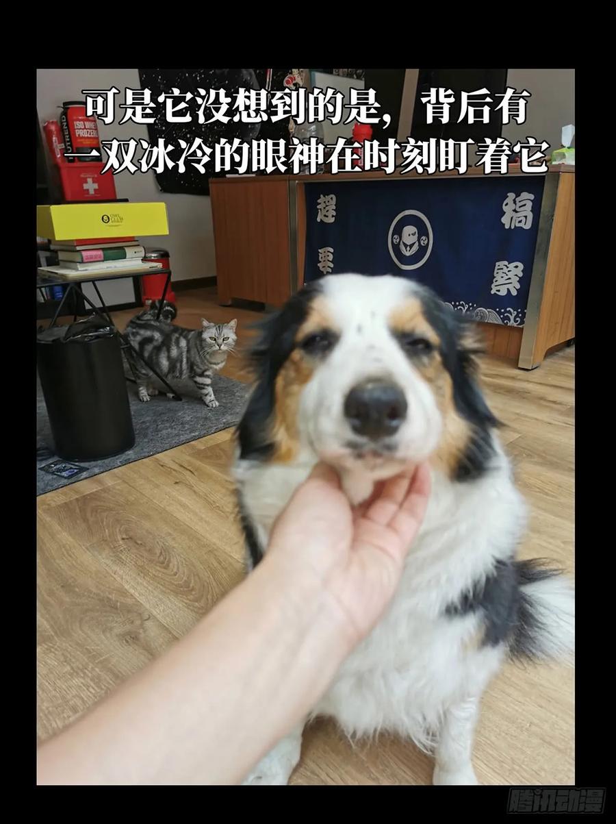 大象无形 第六十四章_刀与盾下 第42页