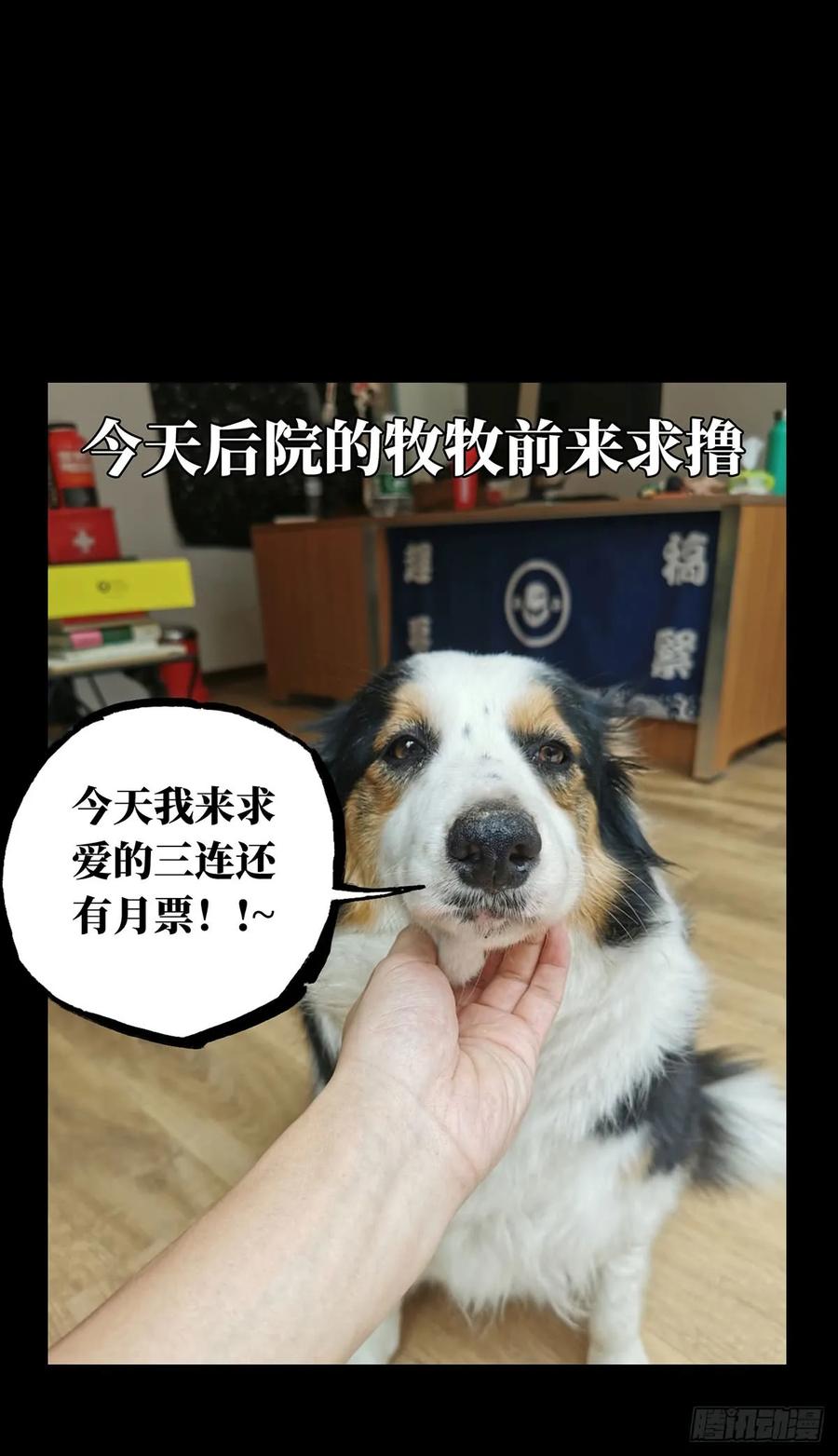 大象无形 第六十四章_刀与盾下 第41页