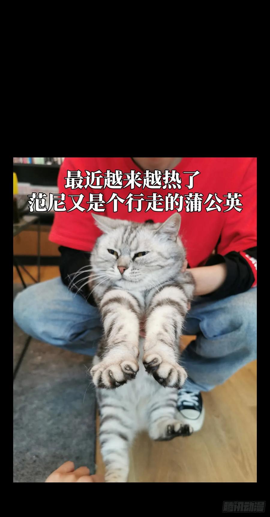 大象无形 第六十五章_病态上 第44页