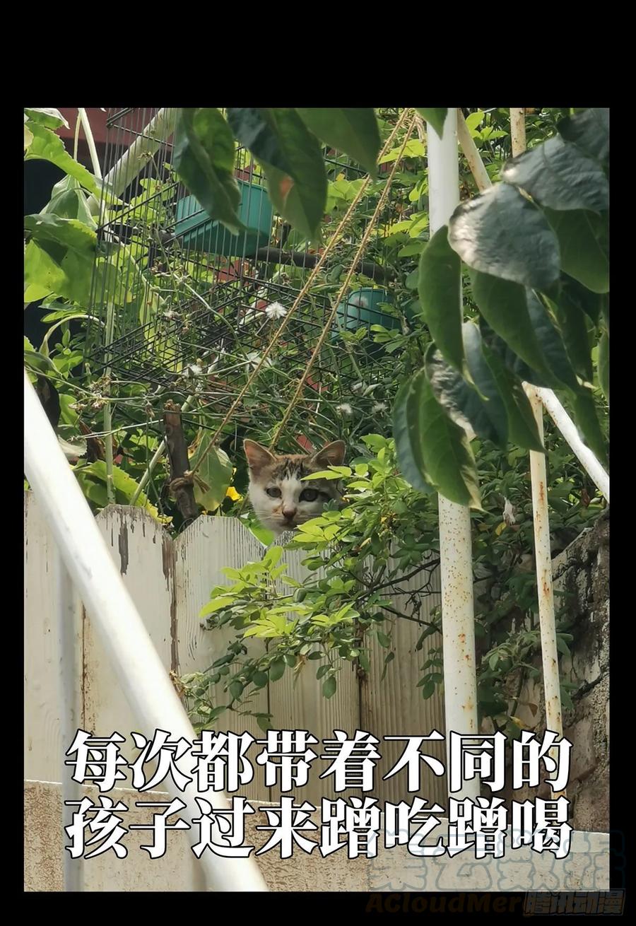 大象无形 第六十六章_病态中 第40页