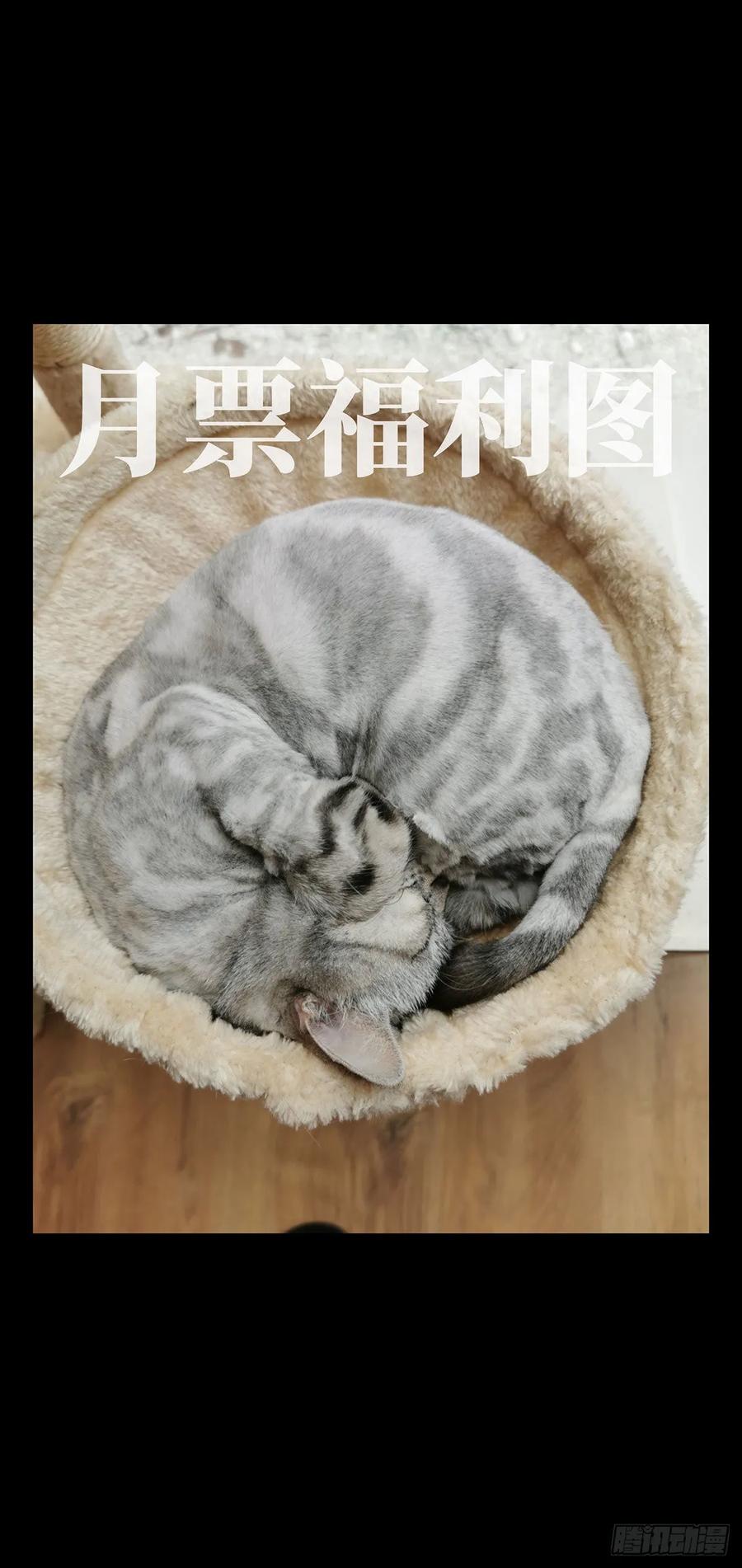 大象无形 第六十六章_病态中 第42页