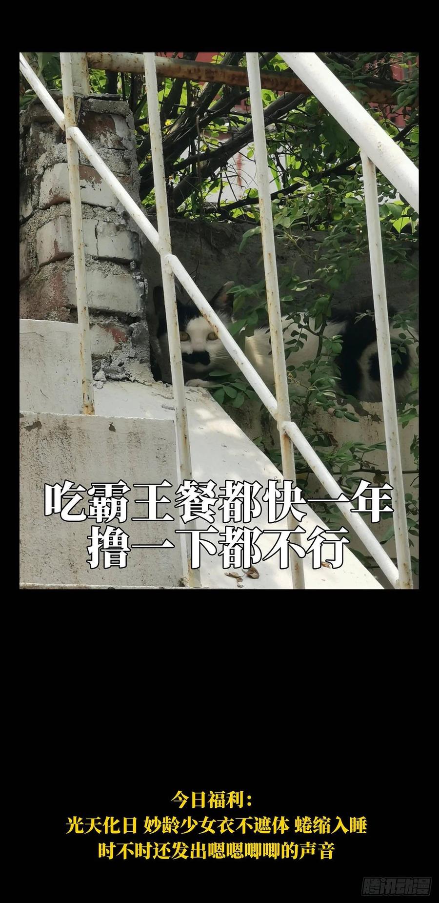 大象无形 第六十六章_病态中 第41页