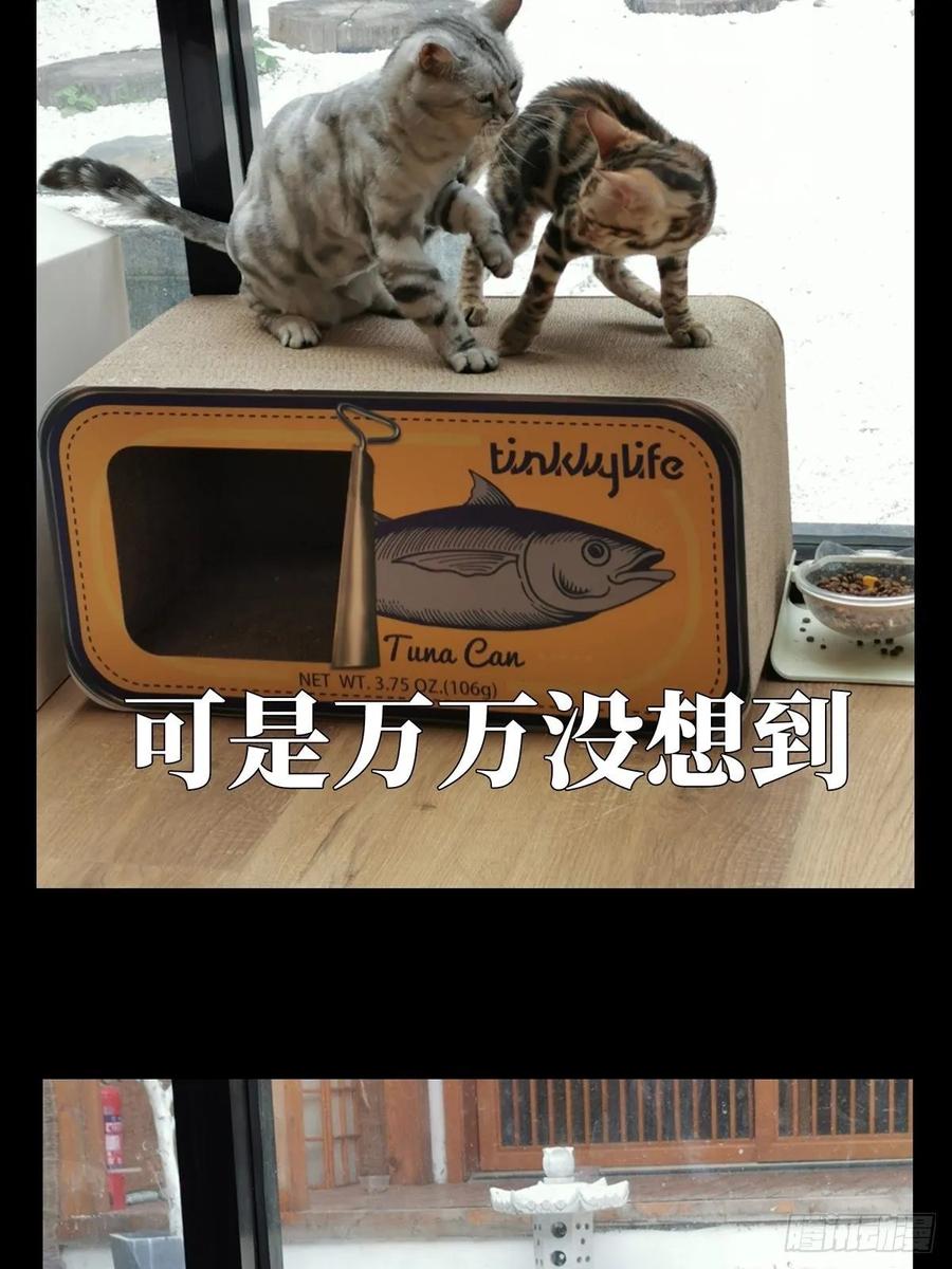 大象无形 第六十七章_病态下 第46页