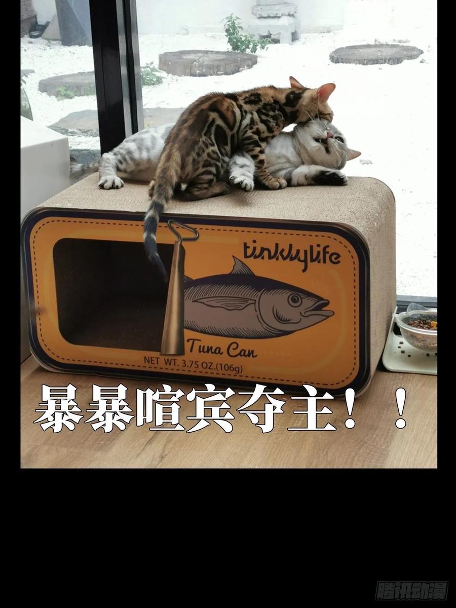 大象无形 第六十七章_病态下 第47页