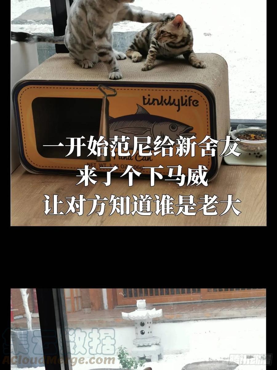 大象无形 第六十七章_病态下 第45页