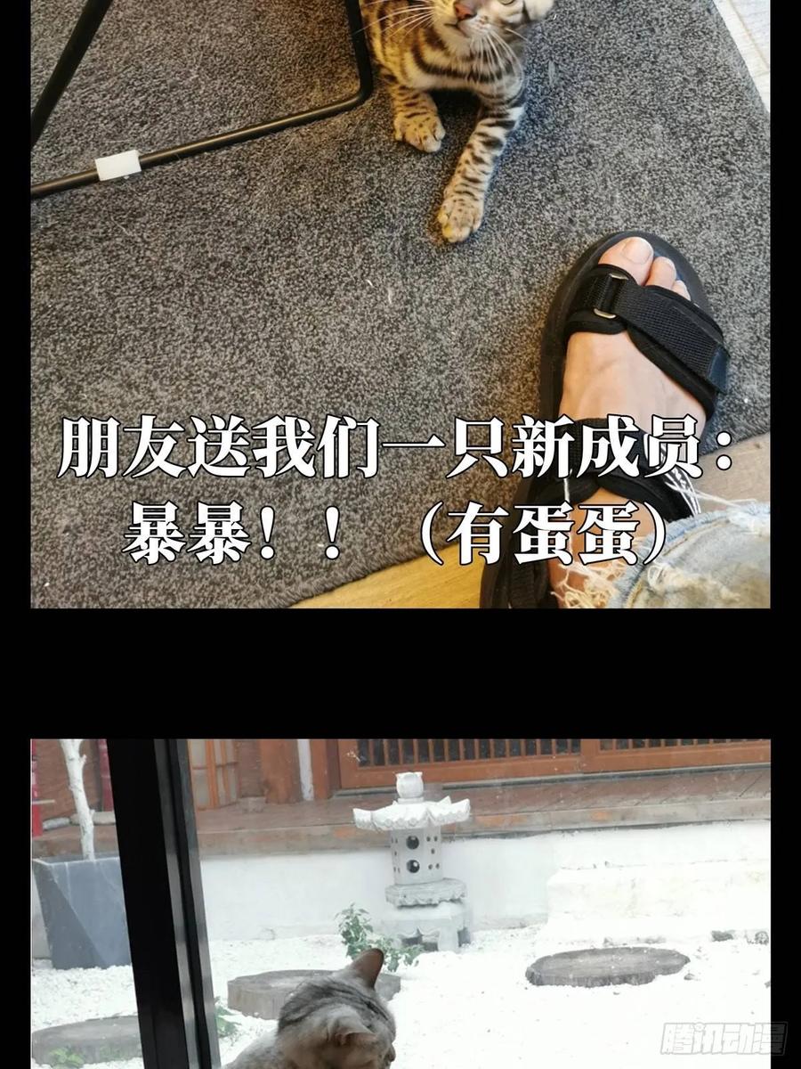 大象无形 第六十七章_病态下 第44页