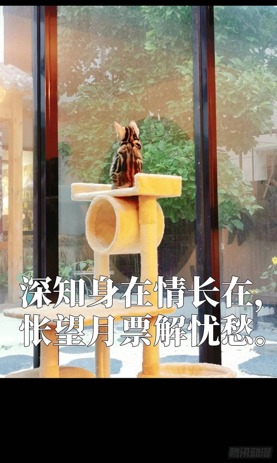 大象无形 第六十八章_至死不渝上 第46页