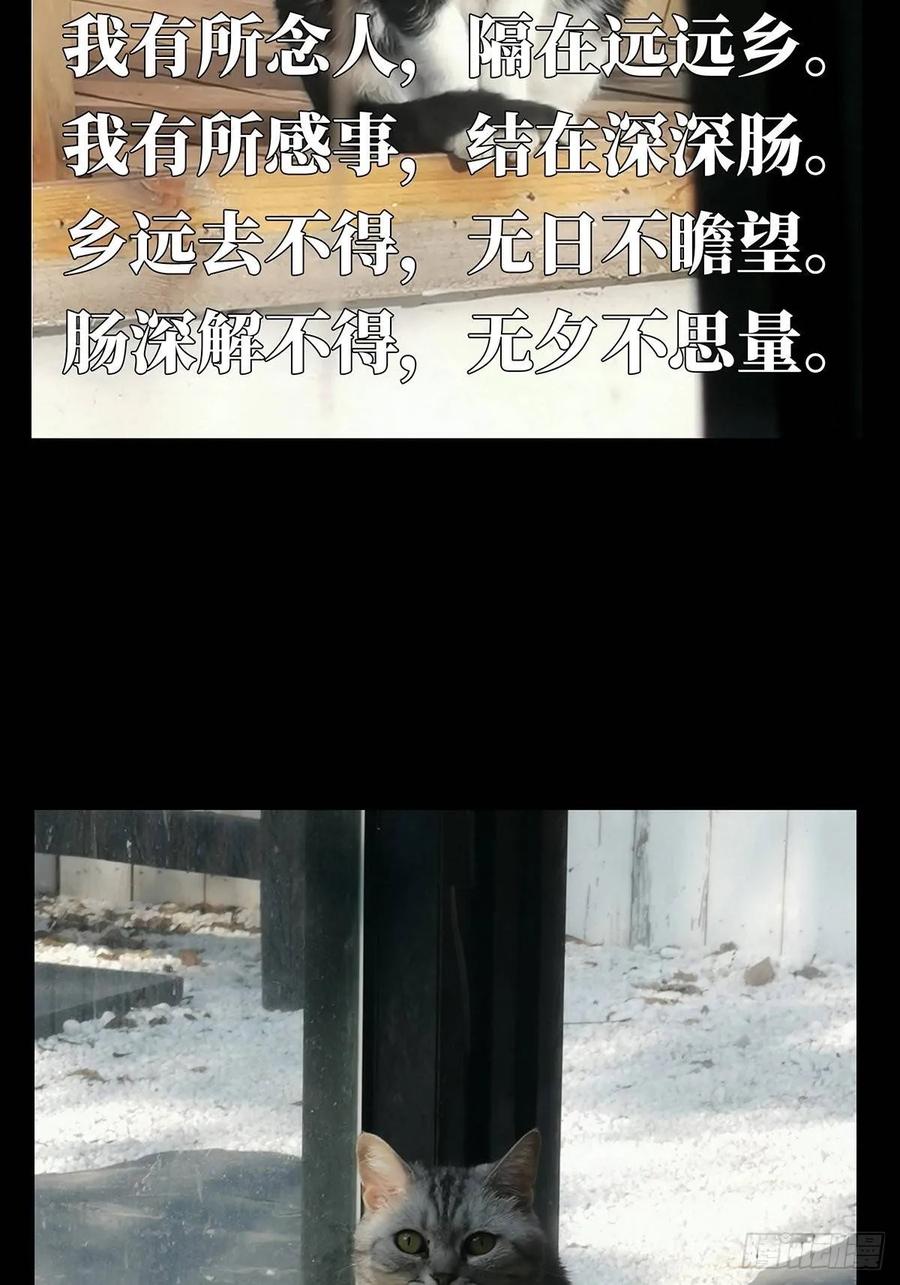 大象无形 第六十九章_至死不渝中 第33页
