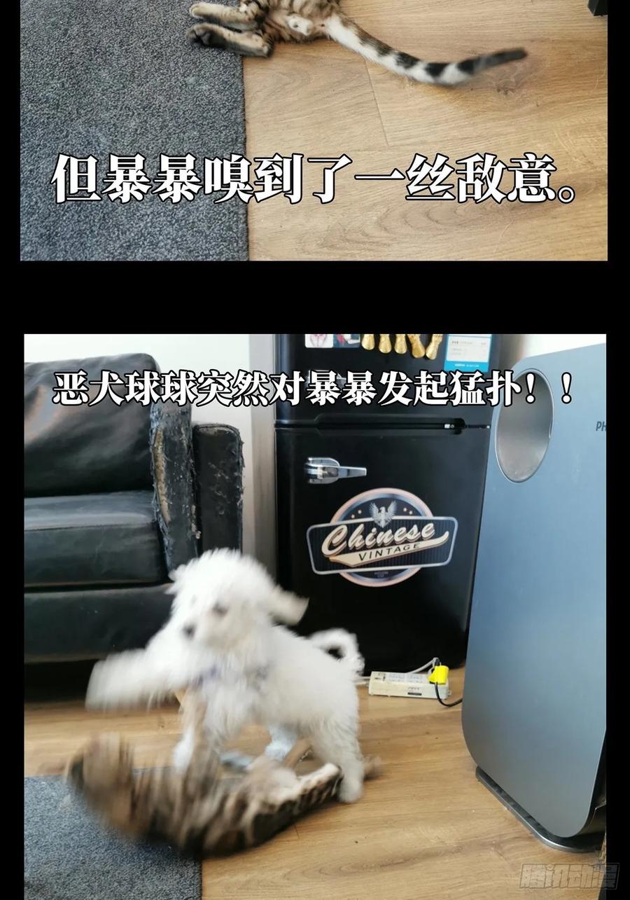 大象无形 第七十二章_她中 第47页