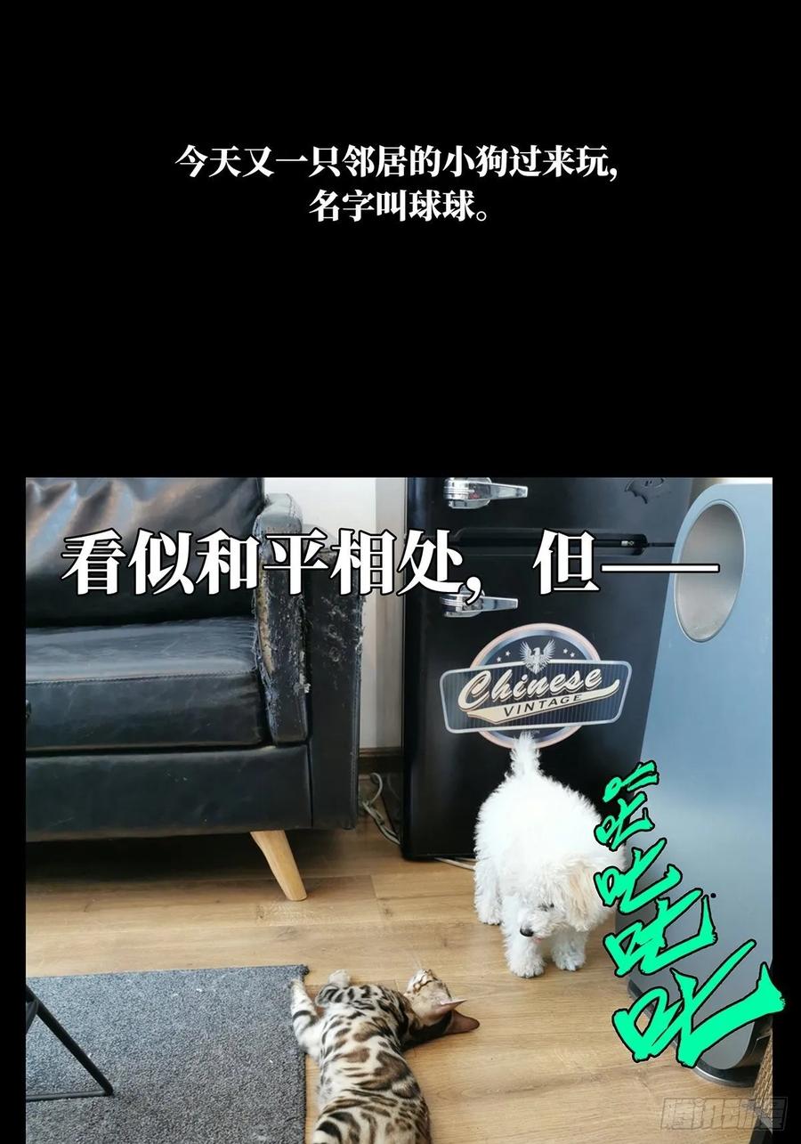 大象无形 第七十二章_她中 第46页