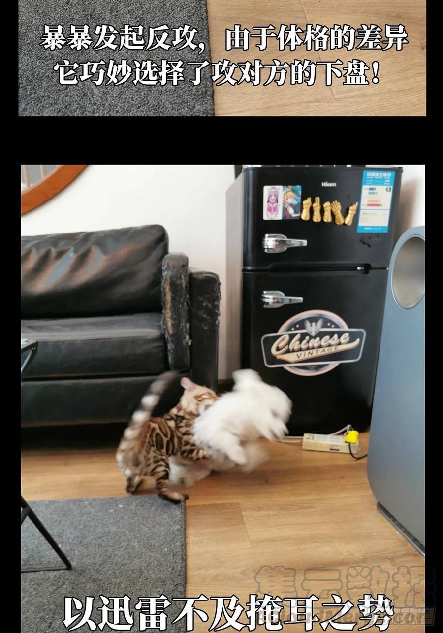 大象无形 第七十二章_她中 第49页