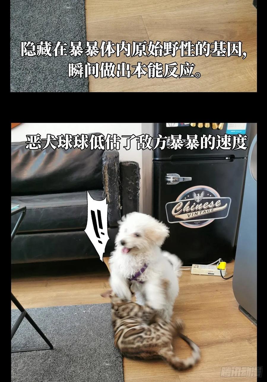 大象无形 第七十二章_她中 第48页