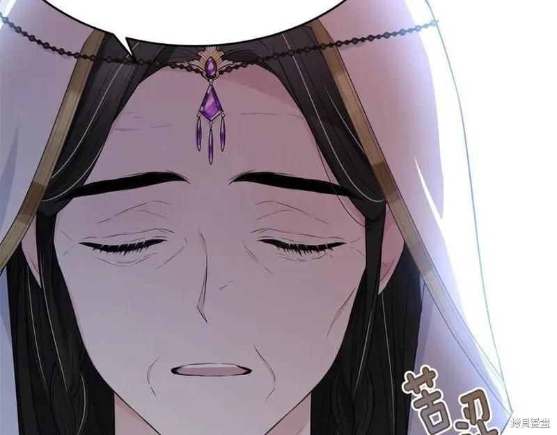 《明明是冷美人小姐却变成了忠犬大少爷》第78话 第174页