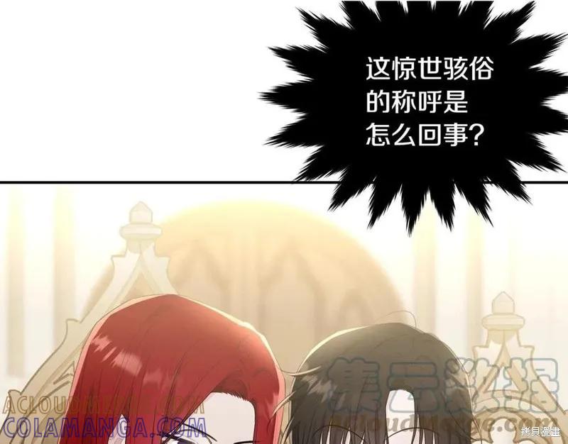 《明明是冷美人小姐却变成了忠犬大少爷》第78话 第169页