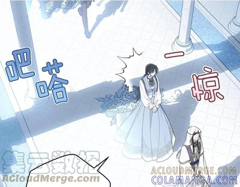 《明明是冷美人小姐却变成了忠犬大少爷》第78话 第189页