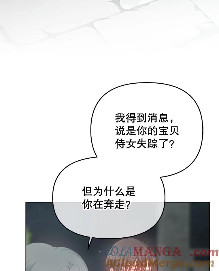 《不要相信那本日记》77.侍女失踪事件 第93页