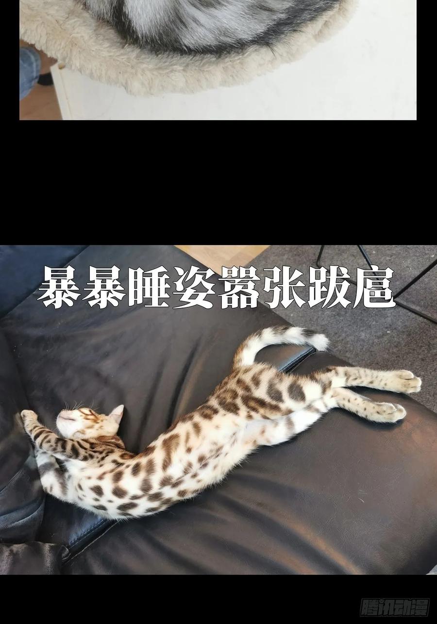 大象无形 第七十八章_同门对决中 第42页