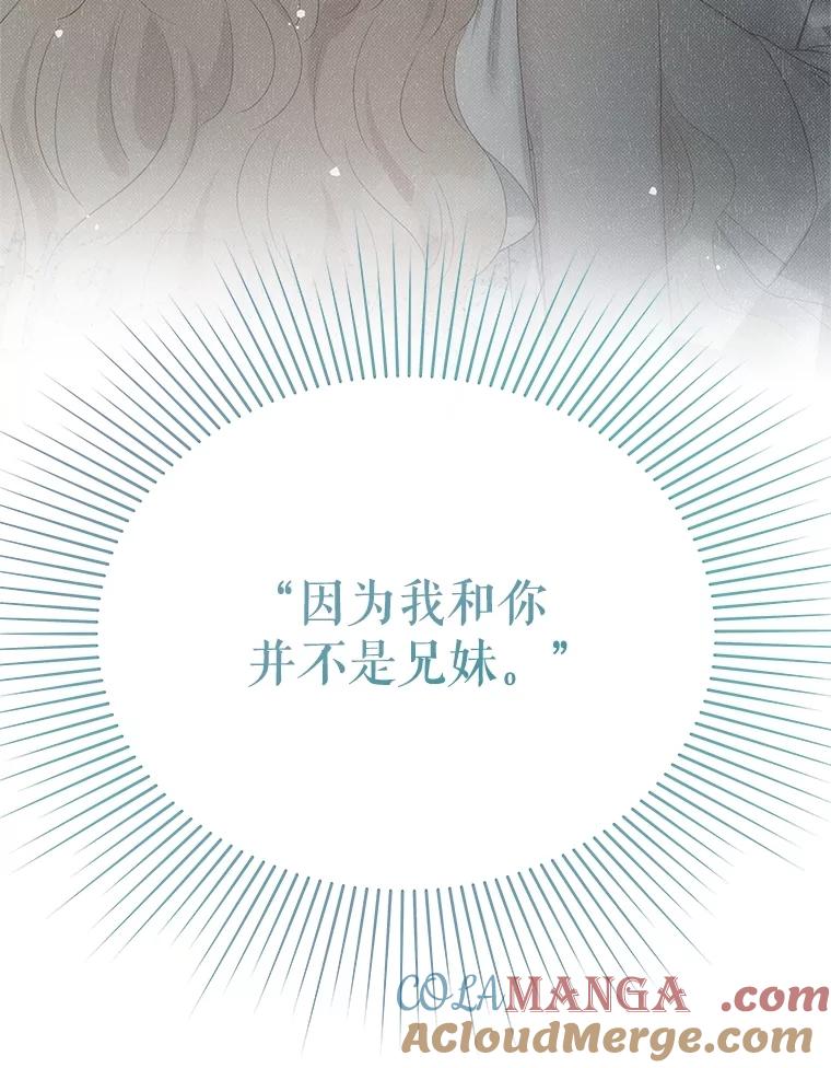 《不要相信那本日记》77.侍女失踪事件 第101页