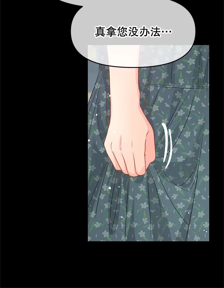 《不要相信那本日记》77.侍女失踪事件 第87页