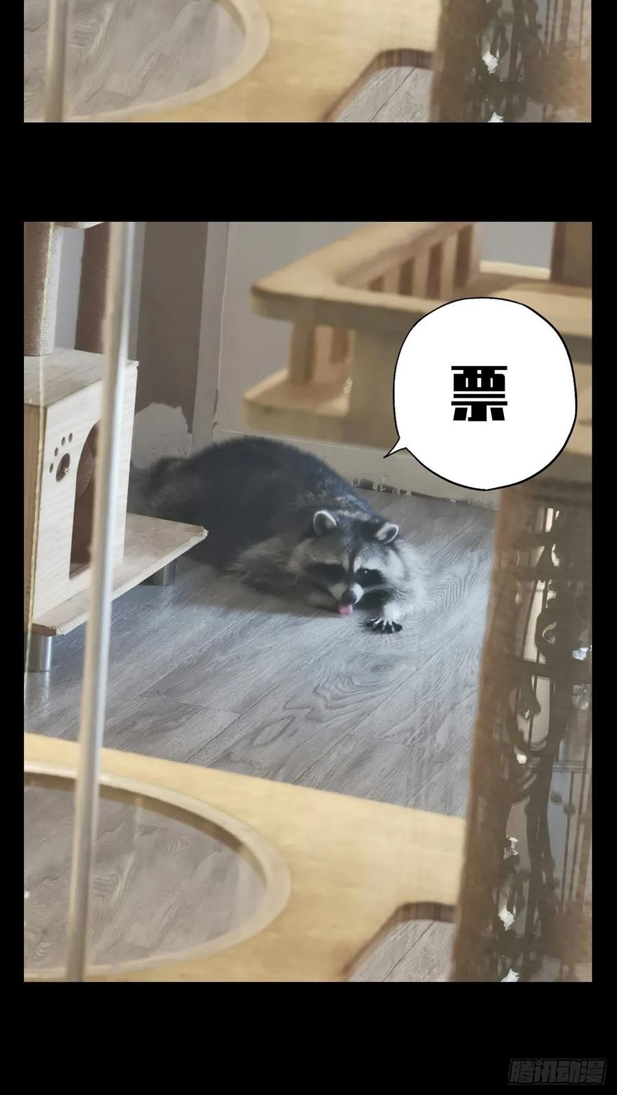大象无形 第八十五章_神秘组织下 第41页