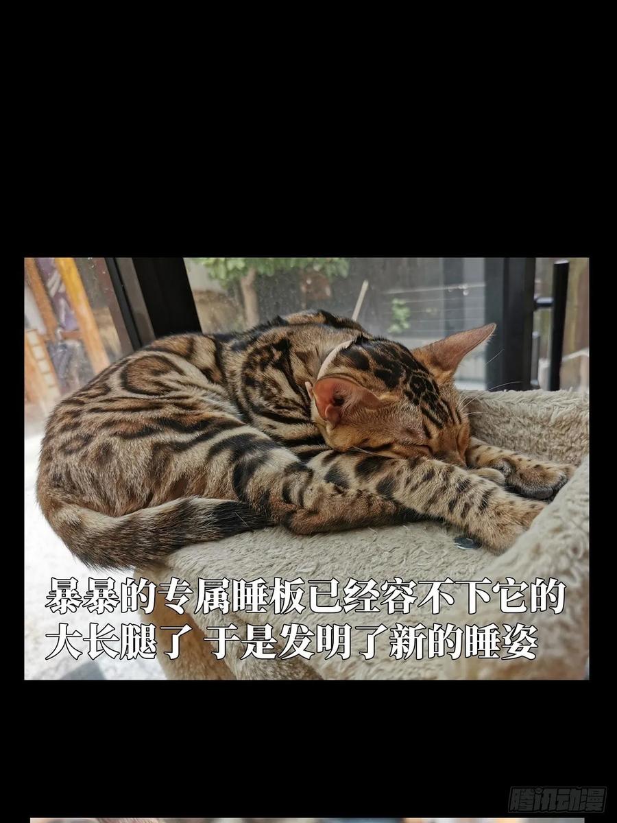 大象无形 第九十章_君上中 第33页