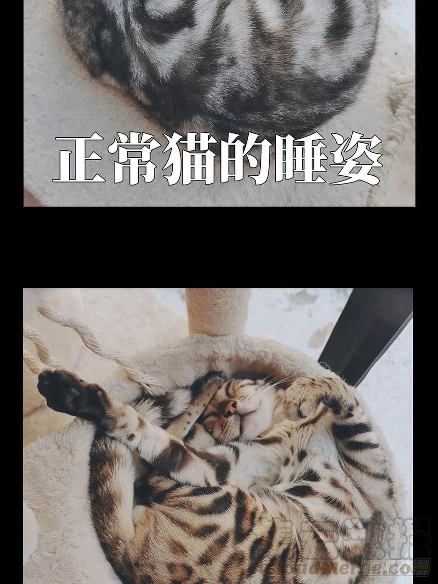 大象无形 第九十五章_灵息上 第37页