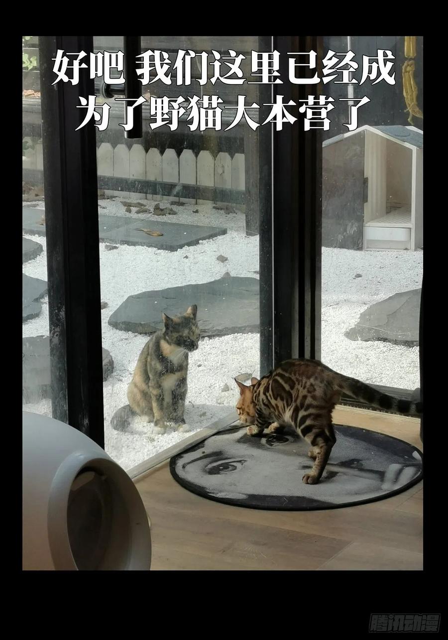 大象无形 第九十七章_灵息下 第33页