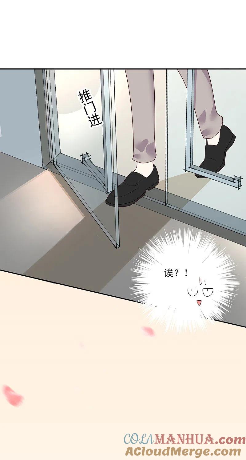 我被总裁黑上了！ - 第228话 - 第9张图