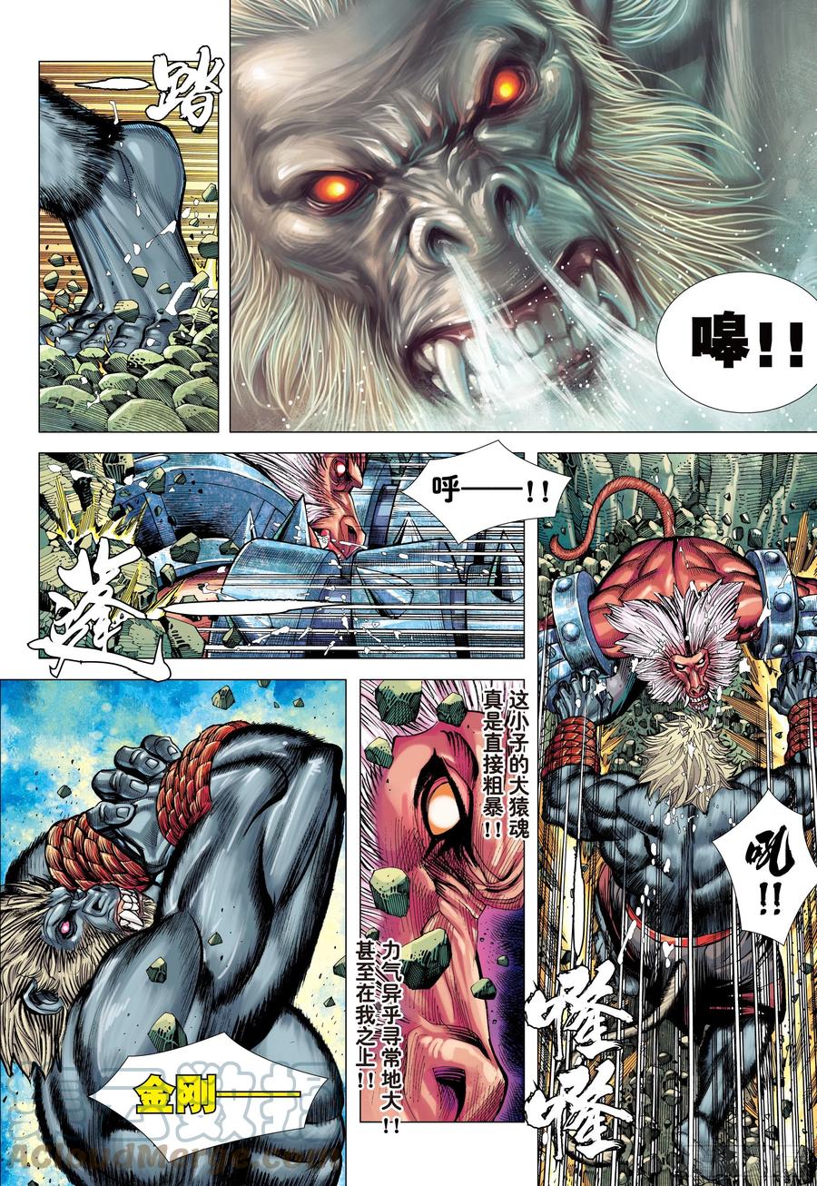 大猿魂（西行纪系列） - 12：大猿魂 - 第15张图