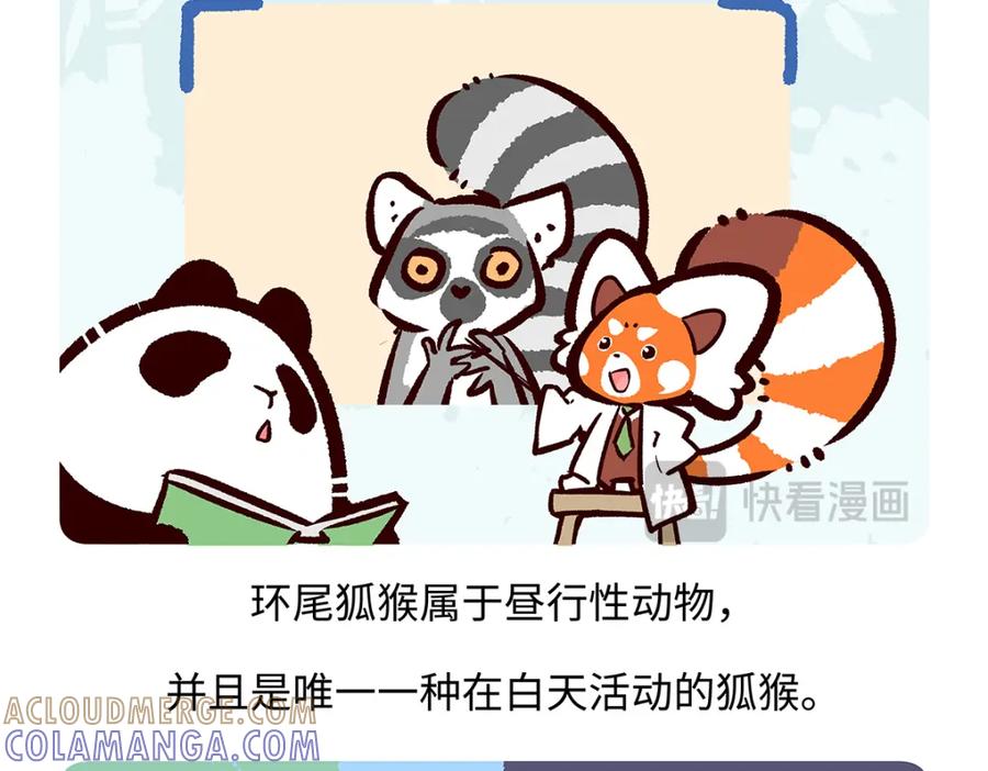 《胖达x胖达》第266话 第29页