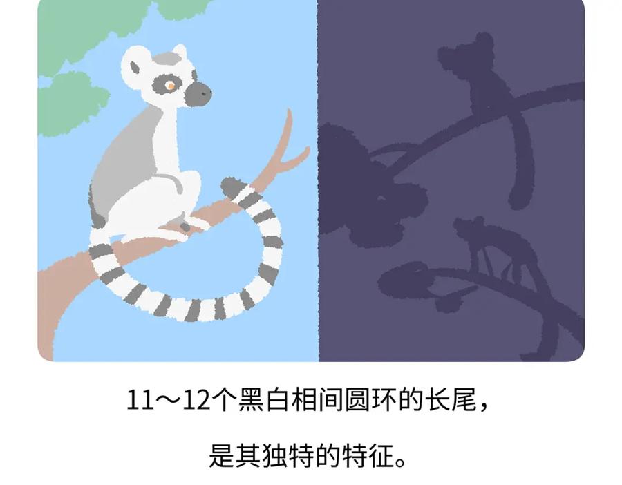 《胖达x胖达》第266话 第30页