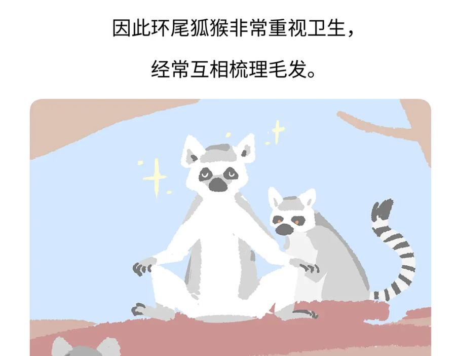 《胖达x胖达》第266话 第26页