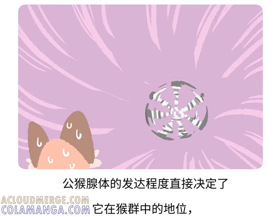《胖达x胖达》第266话 第25页