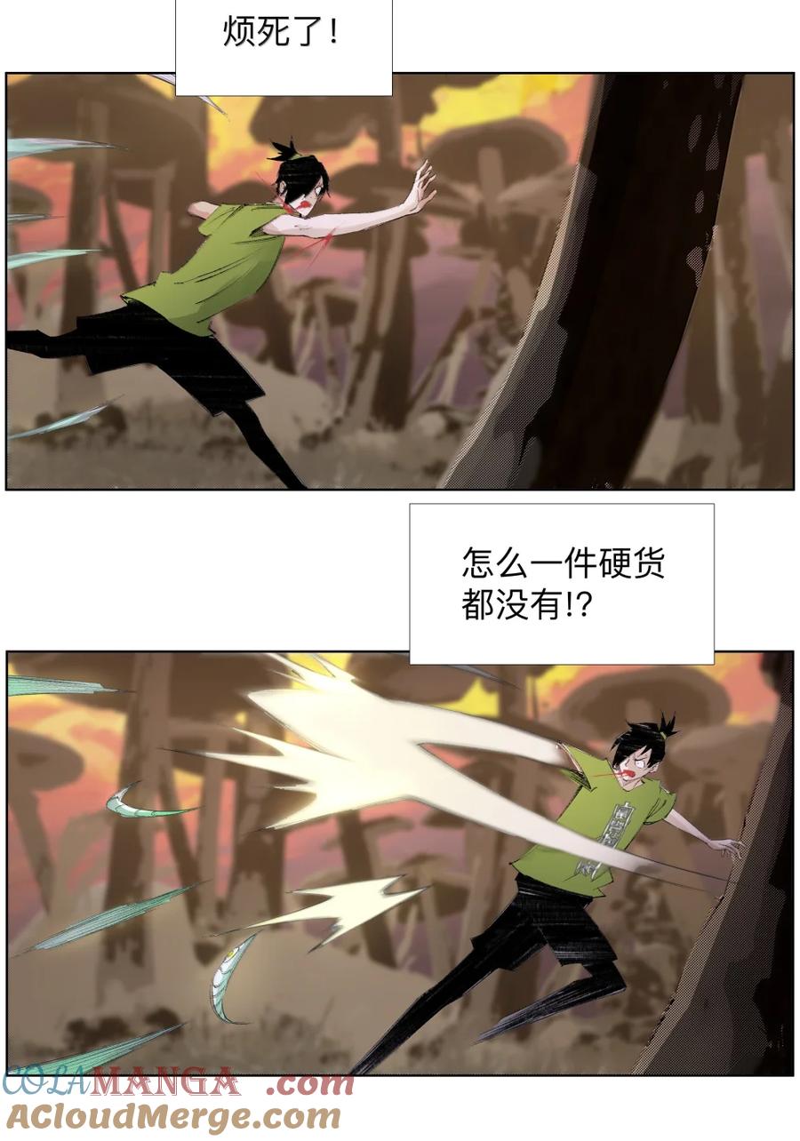 31.jpg