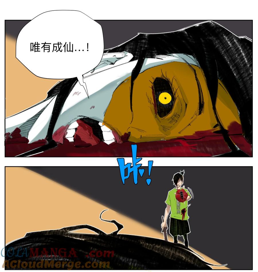 31.jpg