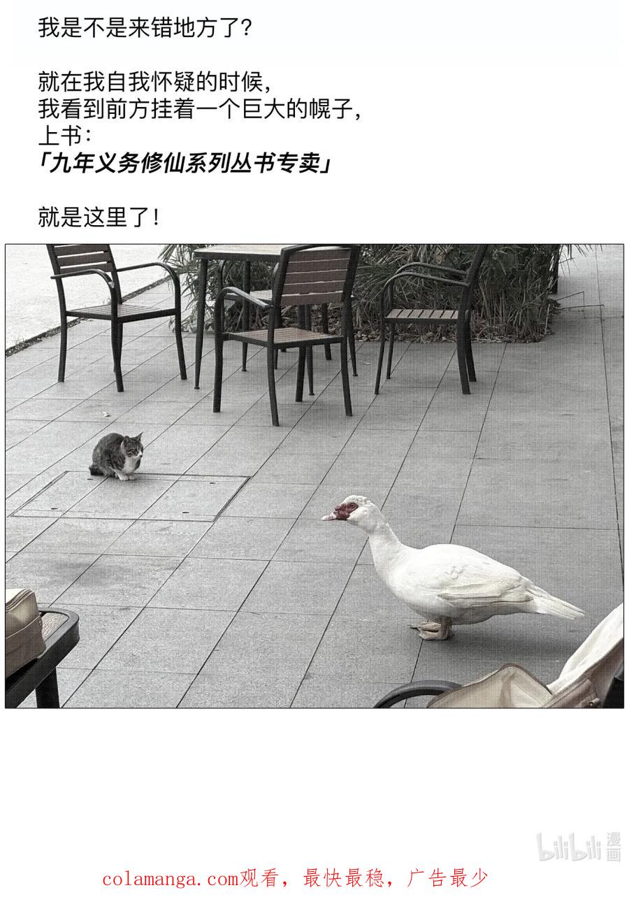44.jpg