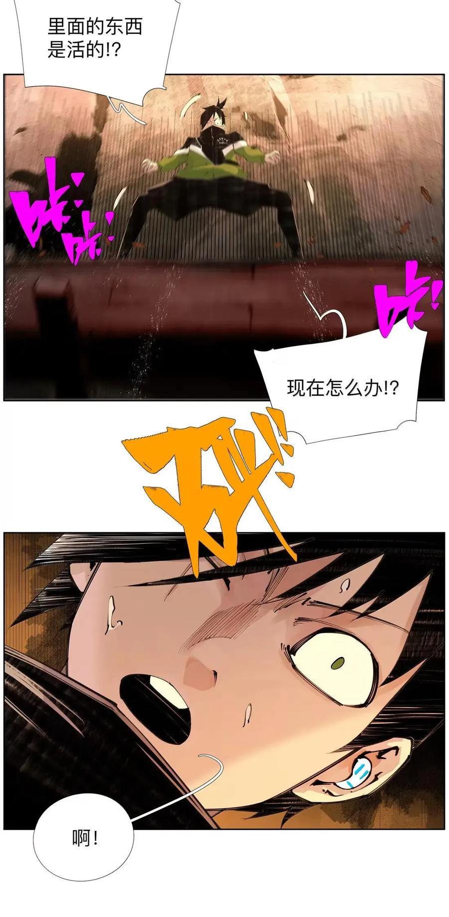 41.jpg