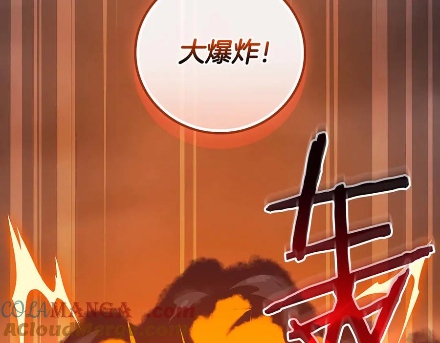 《全民神战：只有我能看到隐藏信息》第123话 没有什么比物理魔法更直接的了 第233页